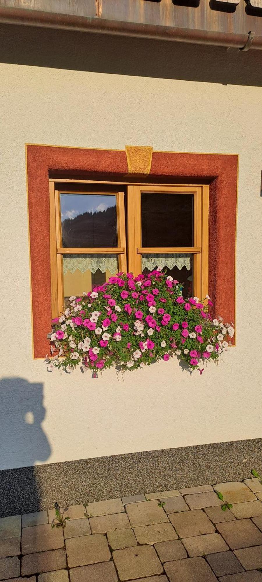Ferienwohnung Steinernes Meer Maria Alm am Steinernen Meer Esterno foto