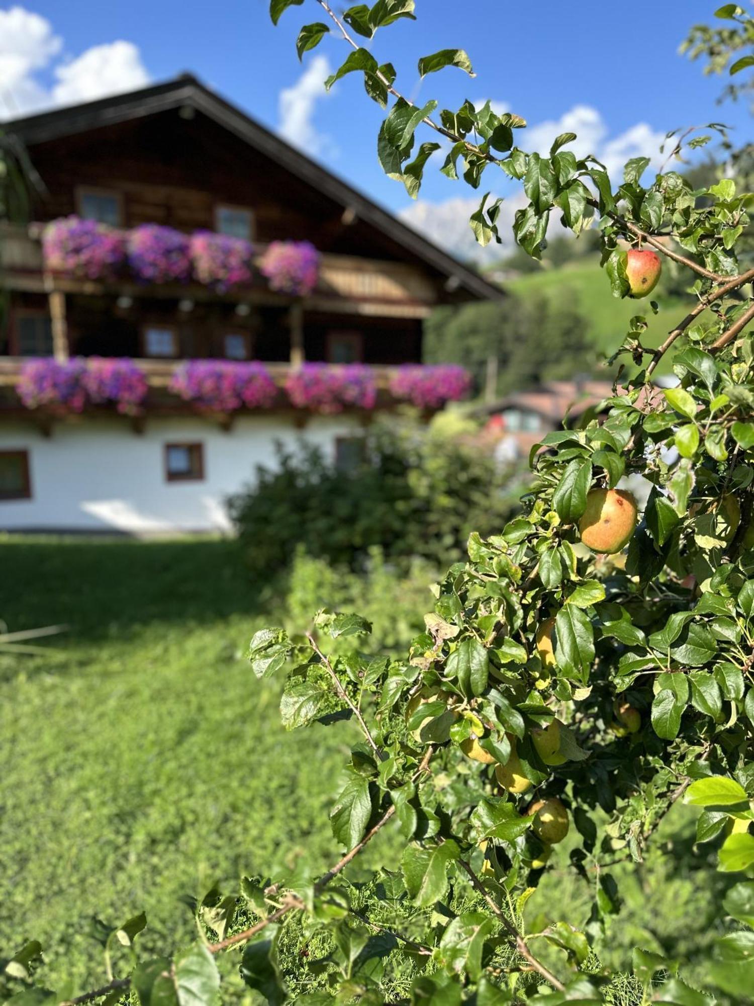 Ferienwohnung Steinernes Meer Maria Alm am Steinernen Meer Esterno foto
