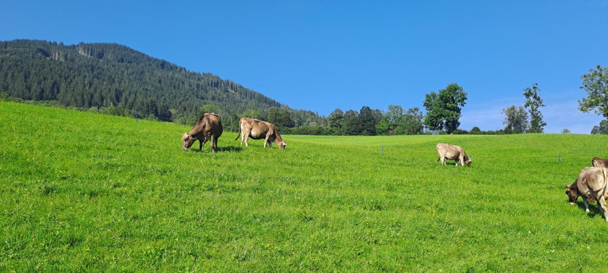 Ferienwohnung Steinernes Meer Maria Alm am Steinernen Meer Esterno foto
