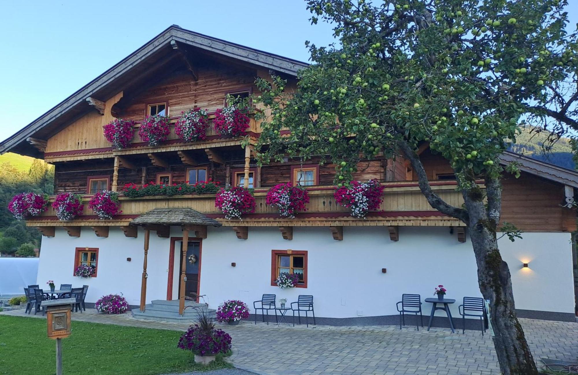 Ferienwohnung Steinernes Meer Maria Alm am Steinernen Meer Esterno foto